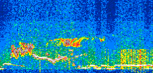 /calipso-imagery/data/BROWSE/production/V5-00/2017-12-13/2017-12-13_13-37-30_V5.00_2_thmb.png image missing