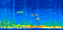 /calipso-imagery/data/BROWSE/production/V5-00/2017-12-13/2017-12-13_13-37-30_V5.00_3_thmb.png image missing