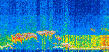 /calipso-imagery/data/BROWSE/production/V5-00/2017-12-13/2017-12-13_18-34-10_V5.00_2_thmb.png image missing
