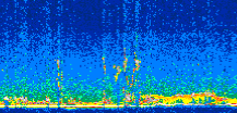 /calipso-imagery/data/BROWSE/production/V5-00/2017-12-14/2017-12-14_07-45-12_V5.00_3_thmb.png image missing