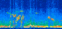 /calipso-imagery/data/BROWSE/production/V5-00/2017-12-14/2017-12-14_09-24-07_V5.00_3_thmb.png image missing
