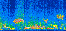 /calipso-imagery/data/BROWSE/production/V5-00/2017-12-14/2017-12-14_11-02-58_V5.00_2_thmb.png image missing