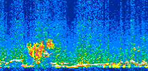 /calipso-imagery/data/BROWSE/production/V5-00/2017-12-14/2017-12-14_22-35-09_V5.00_2_thmb.png image missing