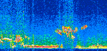 /calipso-imagery/data/BROWSE/production/V5-00/2017-12-21/2017-12-21_02-54-44_V5.00_2_thmb.png image missing