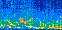 /calipso-imagery/data/BROWSE/production/V5-00/2017-12-21/2017-12-21_12-48-00_V5.00_2_thmb.png image missing