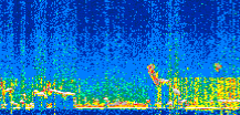 /calipso-imagery/data/BROWSE/production/V5-00/2017-12-21/2017-12-21_14-26-56_V5.00_2_thmb.png image missing