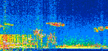 /calipso-imagery/data/BROWSE/production/V5-00/2017-12-21/2017-12-21_16-05-46_V5.00_3_thmb.png image missing