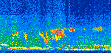 /calipso-imagery/data/BROWSE/production/V5-00/2017-12-21/2017-12-21_21-02-27_V5.00_2_thmb.png image missing
