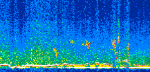 /calipso-imagery/data/BROWSE/production/V5-00/2017-12-26/2017-12-26_03-13-15_V5.00_2_thmb.png image missing