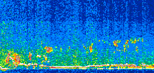 /calipso-imagery/data/BROWSE/production/V5-00/2017-12-26/2017-12-26_08-09-56_V5.00_2_thmb.png image missing