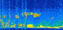 /calipso-imagery/data/BROWSE/production/V5-00/2017-12-26/2017-12-26_11-27-41_V5.00_3_thmb.png image missing