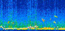 /calipso-imagery/data/BROWSE/production/V5-00/2017-12-27/2017-12-27_02-17-38_V5.00_2_thmb.png image missing
