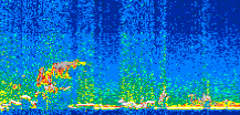 /calipso-imagery/data/BROWSE/production/V5-00/2017-12-27/2017-12-27_08-53-14_V5.00_2_thmb.png image missing