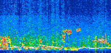 /calipso-imagery/data/BROWSE/production/V5-00/2017-12-27/2017-12-27_12-11-00_V5.00_2_thmb.png image missing