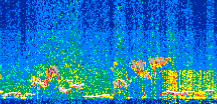 /calipso-imagery/data/BROWSE/production/V5-00/2017-12-27/2017-12-27_13-49-50_V5.00_2_thmb.png image missing