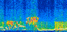 /calipso-imagery/data/BROWSE/production/V5-00/2017-12-27/2017-12-27_18-46-31_V5.00_2_thmb.png image missing