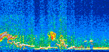 /calipso-imagery/data/BROWSE/production/V5-00/2017-12-27/2017-12-27_23-43-11_V5.00_2_thmb.png image missing