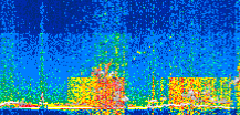 /calipso-imagery/data/BROWSE/production/V5-00/2018-03-02/2018-03-02_16-17-34_V5.00_2_thmb.png image missing