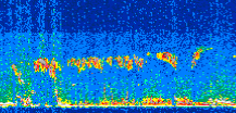 /calipso-imagery/data/BROWSE/production/V5-00/2018-03-09/2018-03-09_23-00-12_V5.00_2_thmb.png image missing
