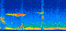 /calipso-imagery/data/BROWSE/production/V5-00/2018-04-06/2018-04-06_23-28-22_V5.00_2_thmb.png image missing