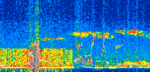 /calipso-imagery/data/BROWSE/production/V5-00/2018-04-07/2018-04-07_15-57-19_V5.00_2_thmb.png image missing
