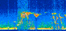 /calipso-imagery/data/BROWSE/production/V5-00/2018-04-08/2018-04-08_01-50-40_V5.00_2_thmb.png image missing