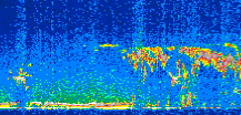 /calipso-imagery/data/BROWSE/production/V5-00/2018-04-08/2018-04-08_06-47-21_V5.00_2_thmb.png image missing