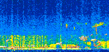 /calipso-imagery/data/BROWSE/production/V5-00/2018-04-09/2018-04-09_14-06-15_V5.00_2_thmb.png image missing