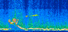 /calipso-imagery/data/BROWSE/production/V5-00/2018-09-26/2018-09-26_20-16-55_V5.00_2_thmb.png image missing