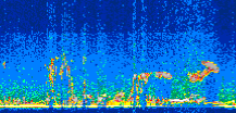 /calipso-imagery/data/BROWSE/production/V5-00/2018-09-26/2018-09-26_23-34-00_V5.00_3_thmb.png image missing
