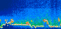 /calipso-imagery/data/BROWSE/production/V5-00/2018-09-28/2018-09-28_08-24-35_V5.00_1_thmb.png image missing
