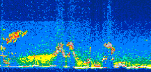 /calipso-imagery/data/BROWSE/production/V5-00/2018-09-30/2018-09-30_11-19-02_V5.00_3_thmb.png image missing