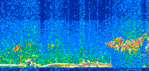 /calipso-imagery/data/BROWSE/production/V5-00/2018-11-15/2018-11-15_00-59-43_V5.00_2_thmb.png image missing