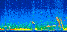 /calipso-imagery/data/BROWSE/production/V5-00/2018-11-15/2018-11-15_04-16-44_V5.00_2_thmb.png image missing
