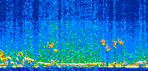 /calipso-imagery/data/BROWSE/production/V5-00/2018-11-15/2018-11-15_09-12-19_V5.00_2_thmb.png image missing