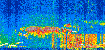/calipso-imagery/data/BROWSE/production/V5-00/2018-11-15/2018-11-15_15-46-25_V5.00_2_thmb.png image missing