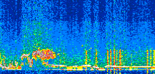 /calipso-imagery/data/BROWSE/production/V5-00/2018-11-15/2018-11-15_19-03-31_V5.00_2_thmb.png image missing