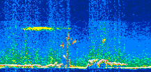 /calipso-imagery/data/BROWSE/production/V5-00/2018-11-15/2018-11-15_19-03-31_V5.00_3_thmb.png image missing