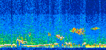 /calipso-imagery/data/BROWSE/production/V5-00/2018-11-17/2018-11-17_08-49-41_V5.00_2_thmb.png image missing