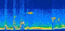 /calipso-imagery/data/BROWSE/production/V5-00/2018-11-17/2018-11-17_08-49-41_V5.00_3_thmb.png image missing