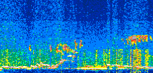 /calipso-imagery/data/BROWSE/production/V5-00/2018-11-17/2018-11-17_13-45-16_V5.00_2_thmb.png image missing