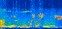 /calipso-imagery/data/BROWSE/production/V5-00/2018-11-17/2018-11-17_18-40-52_V5.00_3_thmb.png image missing