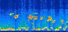 /calipso-imagery/data/BROWSE/production/V5-00/2018-11-17/2018-11-17_21-57-58_V5.00_3_thmb.png image missing