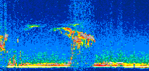 /calipso-imagery/data/BROWSE/production/V5-00/2018-12-15/2018-12-15_00-16-40_V5.00_3_thmb.png image missing