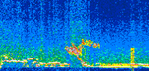 /calipso-imagery/data/BROWSE/production/V5-00/2018-12-15/2018-12-15_13-24-56_V5.00_2_thmb.png image missing