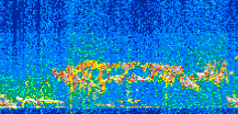 /calipso-imagery/data/BROWSE/production/V5-00/2018-12-17/2018-12-17_03-11-11_V5.00_2_thmb.png image missing