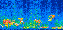 /calipso-imagery/data/BROWSE/production/V5-00/2018-12-25/2018-12-25_00-02-47_V5.00_2_thmb.png image missing