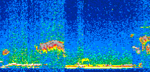 /calipso-imagery/data/BROWSE/production/V5-00/2019-01-04/2019-01-04_03-06-04_V5.00_2_thmb.png image missing