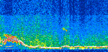 /calipso-imagery/data/BROWSE/production/V5-00/2019-01-04/2019-01-04_06-23-09_V5.00_2_thmb.png image missing