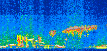 /calipso-imagery/data/BROWSE/production/V5-00/2019-01-04/2019-01-04_09-40-15_V5.00_2_thmb.png image missing
